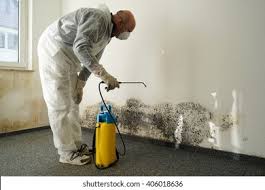 Best Mold Remediation for Healthcare Facilities  in Pflugerville, TX